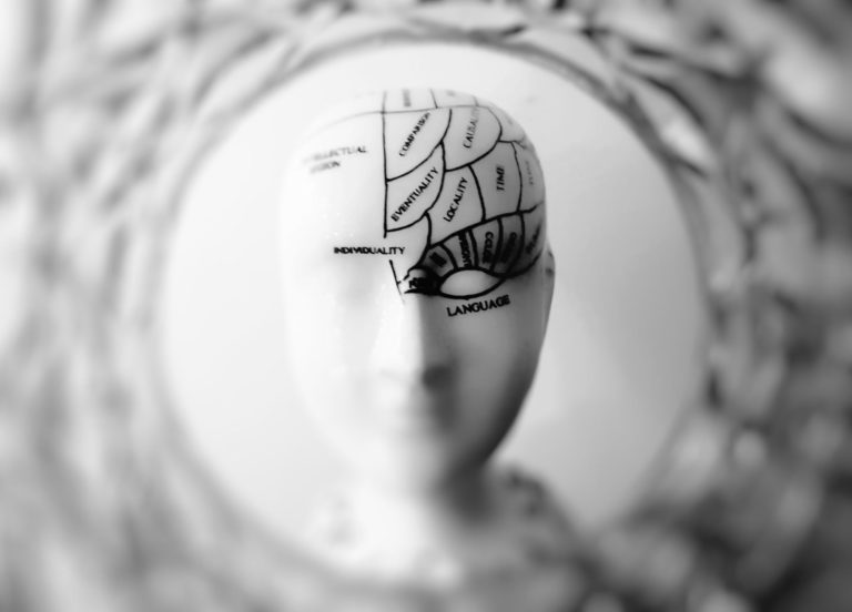 Brain Frog